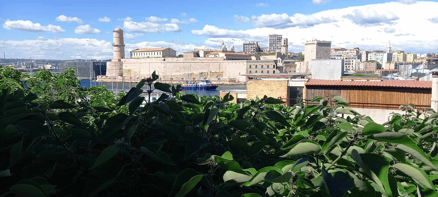 image n.18 of Marseille: Half-Day City Highlights Guided Walking Tour activity in Marseille, uploaded by supplier