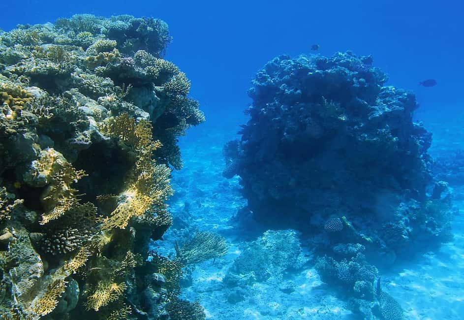 Immagine nº 44 di Hurghada: Escursione di un giorno a Orange Bay con sport acquatici e pranzo attività a Governatorato del Mar Rosso, caricata dal fornitore