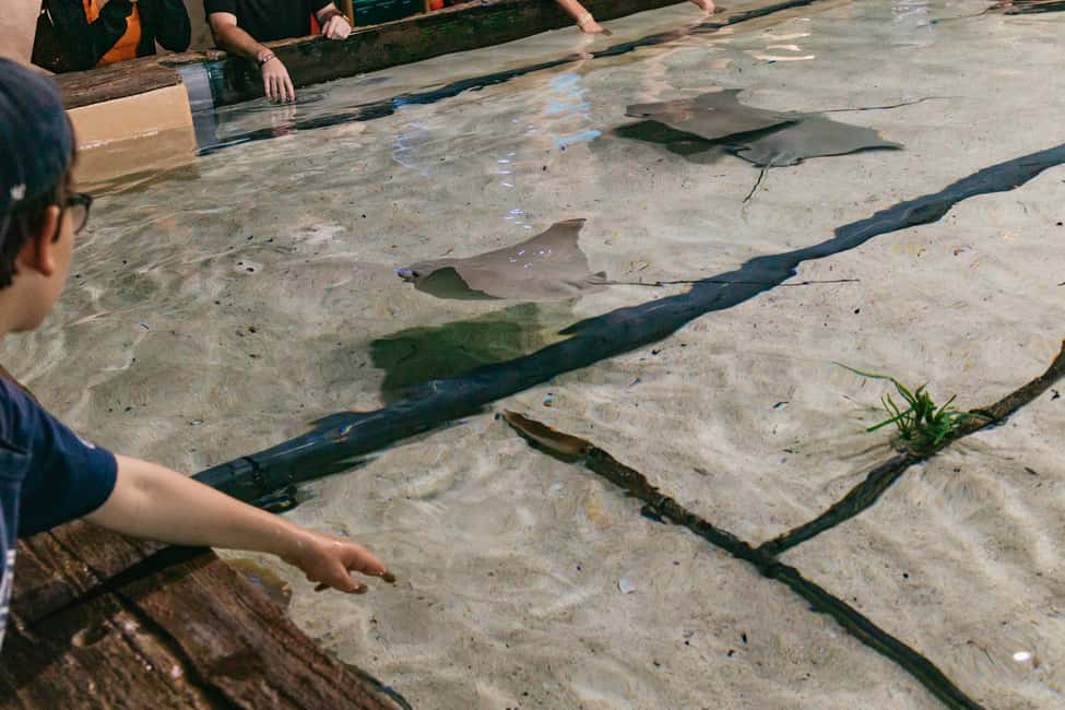 Bild Nr. 8 von Das Florida Aquarium Ticket Aktivität in Tampa, hochgeladen vom Anbieter
