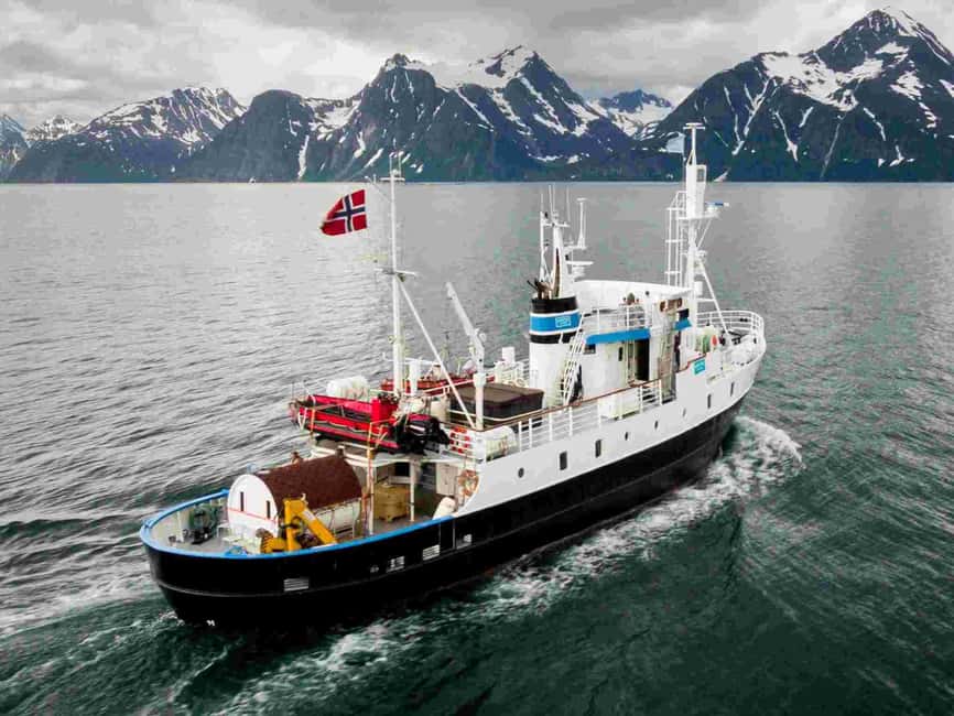 image n.3 of From Tromsø: Northern Lights Cruise on a Cozy Vintage Vessel activity in Tromsø, uploaded by supplier