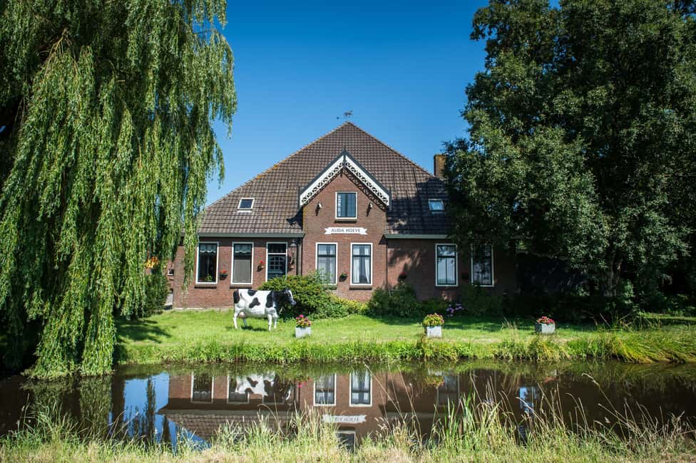 imagem n.28 de Amesterdão: Visita guiada aos moinhos de vento de Zaanse Schans e Volendam atividade em Zaandam, carregada pelo fornecedor