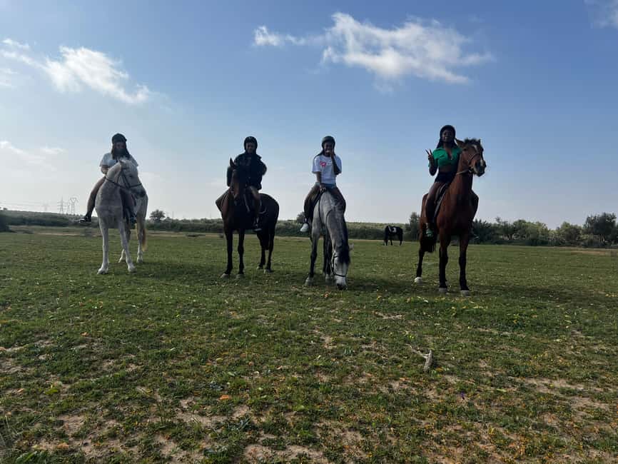 Image N°13 de Sousse/Monastir : excursion privée à cheval avec transfert activité à Monastir, publiée par le prestataire