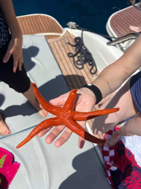 Image N°4 de Split : visite d'une jounée des 5 îles à la grotte bleue, Vis et Hvar activité à Split, publiée par le prestataire