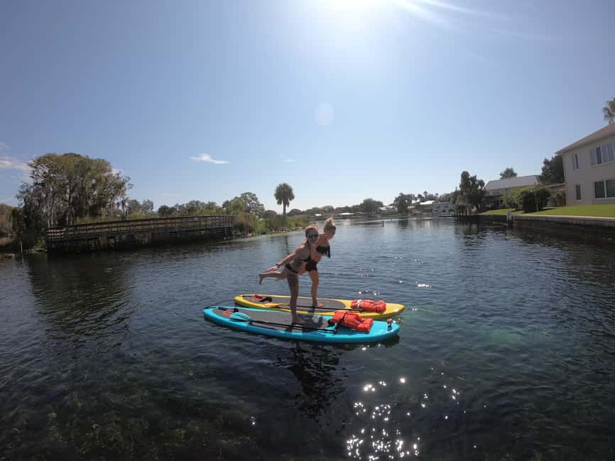 image n.12 of Crystal River: Paddle Board Rental activity in Crystal River, uploaded by supplier