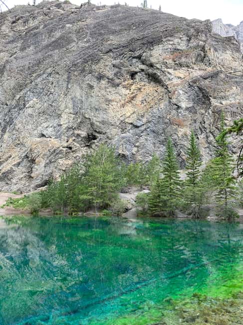 image n.22 of PRIVATE Wilderness and Wildlife Walking Tour - 2.5H activity in British Columbia, uploaded by supplier