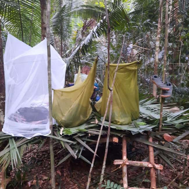 imagen n.º 2 de Manaos: 2, 3 ó 4 días en la Experiencia Supervivencia Amazónica actividad en Manaos, subida por el proveedor