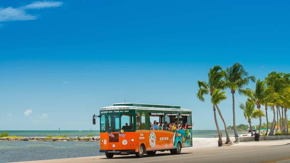 image n.24 of Fort Lauderdale: Key West Day Trip with Optional Activities activity in Fort Lauderdale, uploaded by supplier