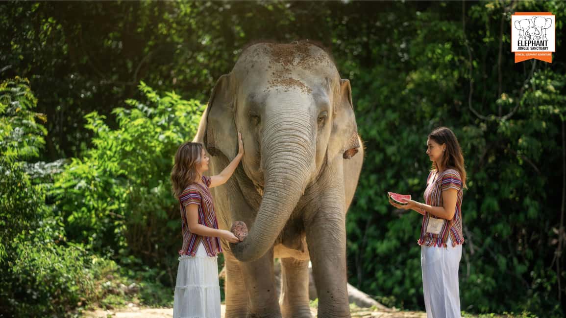 billede nr.5 af aktiviteten Koh Samui: Oplevelse med fodring og badning af elefanter i Thailandbugten, uploadet af udbyder