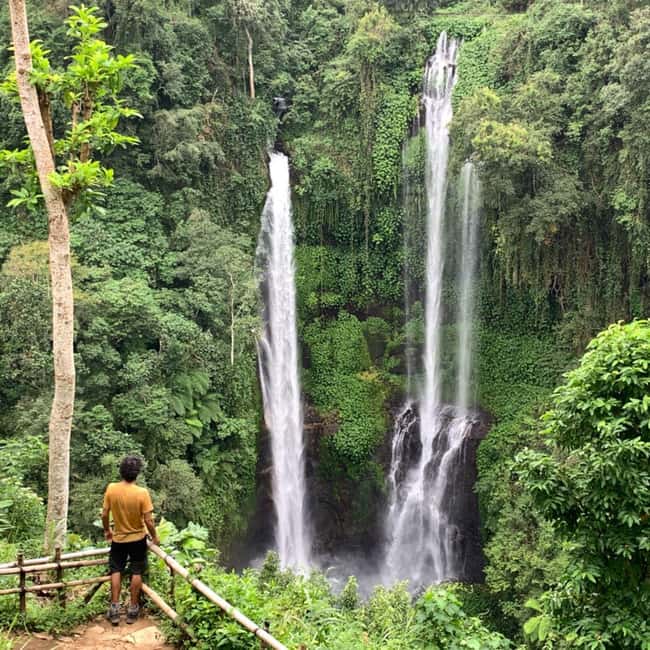 image n.3 of North Bali: Sekumpul and Banyumala Waterfalls & Rice Terrace activity in Bali, uploaded by supplier