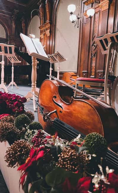 image n.13 of Vienna: Classical Concert at Eschenbach Palace activity in Vienna, uploaded by supplier