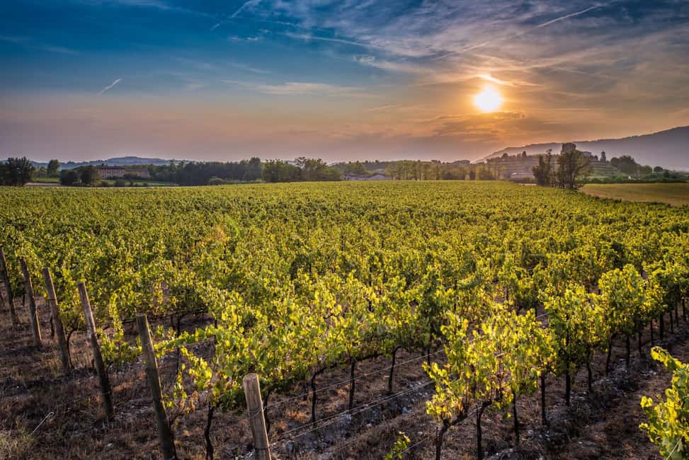 Obraz nr 6 z atrakcji Z Bergamo: Wycieczka do winiarni we Franciacorta z lunchem w Lombardia, przesłany przez organizatora
