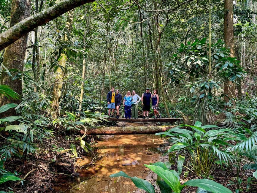 imagen n.º 12 de Río: Senderismo por la selva tropical de Tijuca, cascadas, cuevas y fauna silvestre actividad en Río de Janeiro, subida por el proveedor