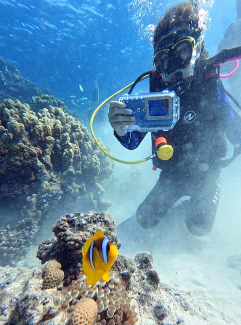 Immagine nº 3 di Esperienza di immersione a Porto Cesareo attività a Lecce, caricata dal fornitore