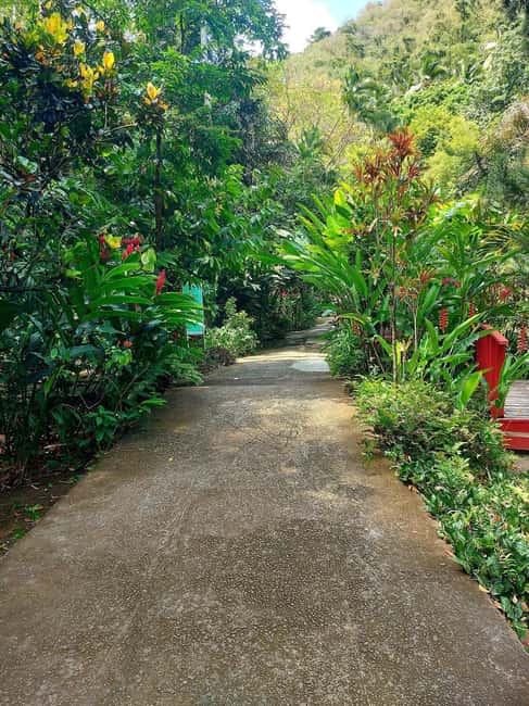 image n.21 of St. Lucia: Private Customizable Day Tour with Driver activity in Castries Quarter, Saint Lucia, uploaded by supplier