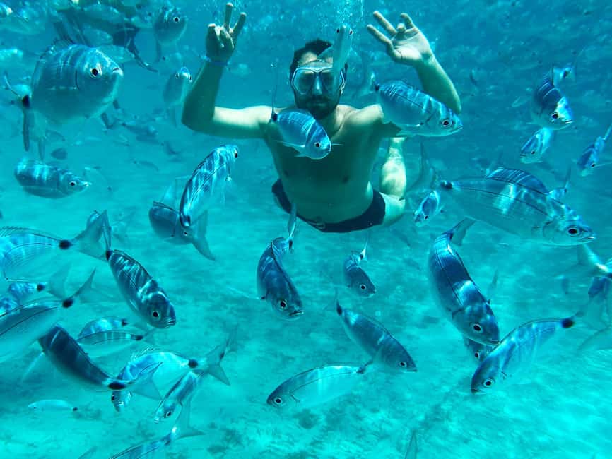 image n.4 of From Palau: La Maddalena Archipelago Catamaran Tour w/ Lunch activity in Sardinia, uploaded by supplier