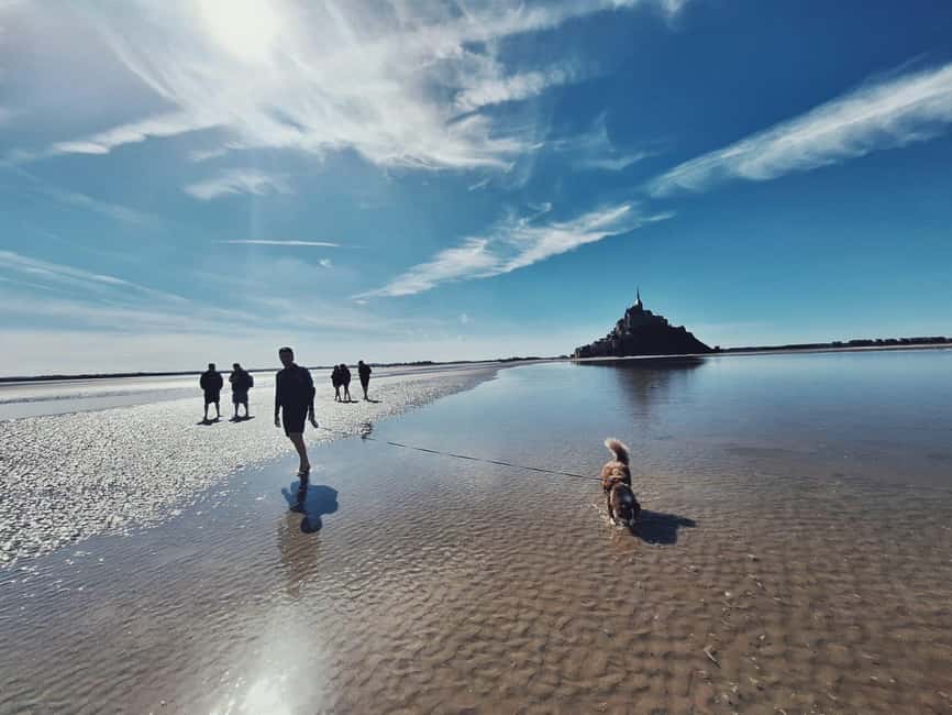 Image N°3 de Baie du Mont Saint-Michel : Sables mouvants et découverte activité à Normandie, publiée par le prestataire