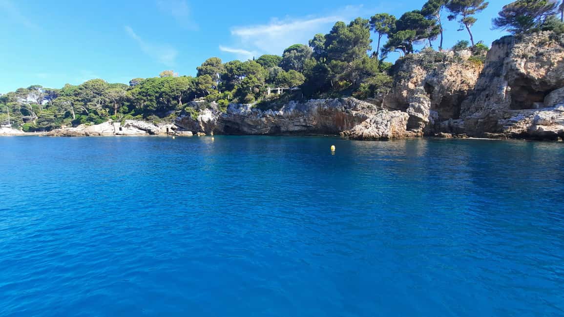 afbeelding n.19 van Privétour op een zeilboot - Zwemmen en pootjebaden - Kaap van Antibes activiteit in Antibes, geüpload door aanbieder