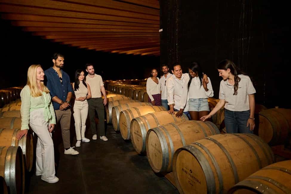Bild Nr. 13 von Von Barcelona aus: Penedés Vineyards Tour mit 4WD und Wein & Cava Aktivität in Barcelona, hochgeladen vom Anbieter
