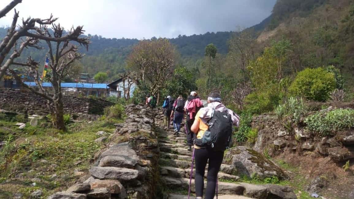 image n.14 of Scenic Adventure: 2-Day Private POON HILL Trek from Pokhara activity in Pashchimanchal, Western Region, uploaded by supplier