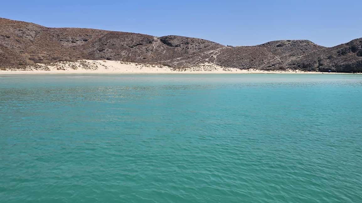 image n.24 of La Paz: Espiritu Santo Island and Balandra Bay Day Cruise activity in Baja California Sur, uploaded by supplier