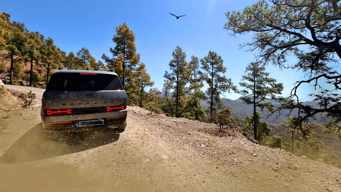 image n.9 of Gran Canaria: Premium Safari 4x4 Tour with Local Guide activity in Canary Islands, uploaded by supplier
