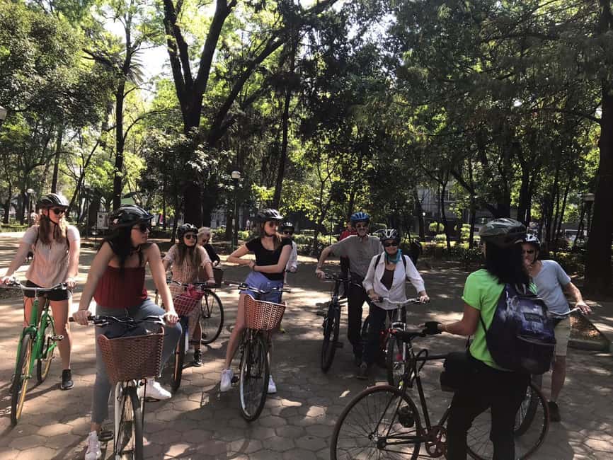 imagen n.º 4 de Paseo cultural: Centro histórico y lugares destacados de Ciudad de México actividad en Ciudad de México, subida por el proveedor