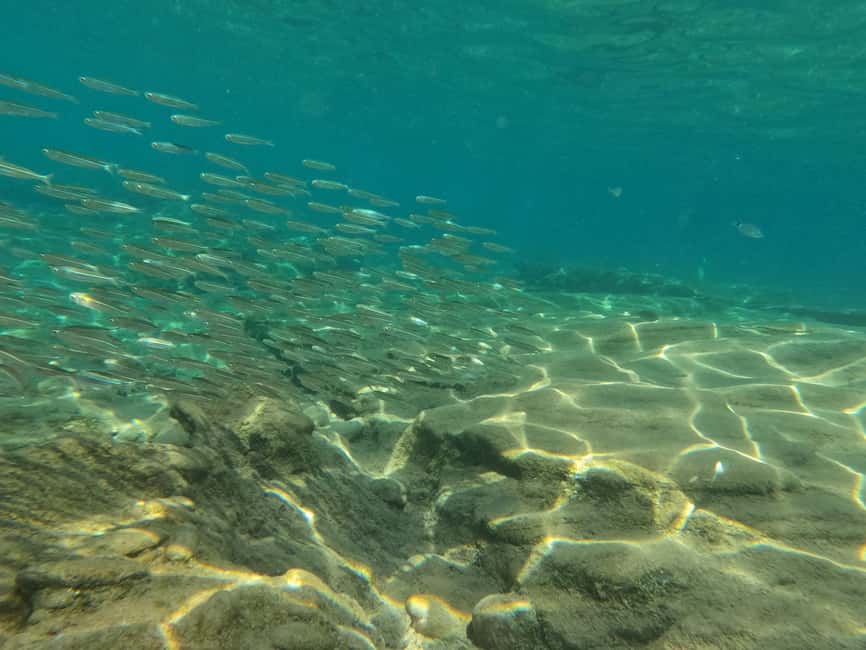 image n.24 of Heraklion: Scuba Diving Experience for Beginners activity in Agia Pelagia, uploaded by supplier