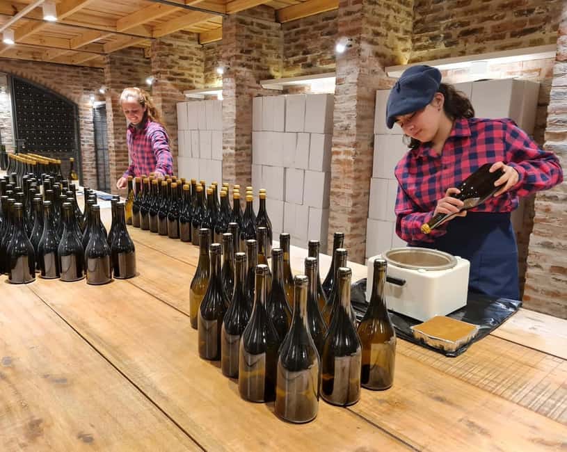 image n.3 of Buenos Aires: Wine Pairing and Lunch at Gamboa Vineyard activity in Campana, uploaded by supplier