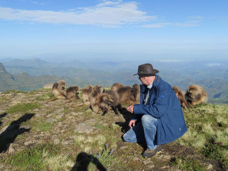 image n.2 of Simien Mountains One Day Trip:Wildlife Spotting,Hiking Tour activity in Amhara Region, uploaded by supplier