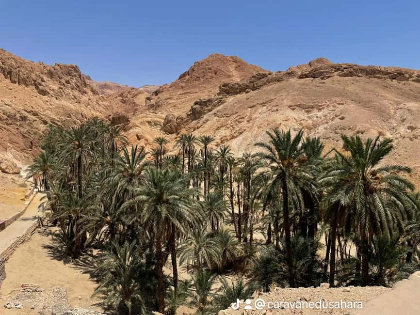 image n.79 of From Yasmine Hammamet/Kantaoui: 2-Day Sahara Tour with Meals activity in Tozeur Governorate, uploaded by supplier