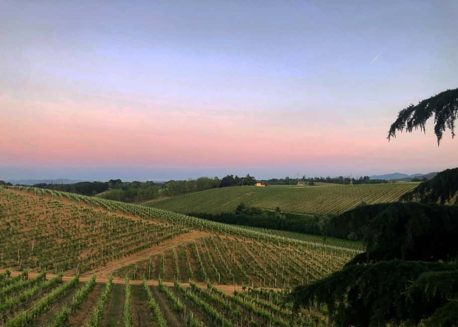 billede nr.5 af aktiviteten Tenuta San Lorenzo: Vin- og madoplevelse i Novi Ligure, uploadet af udbyder