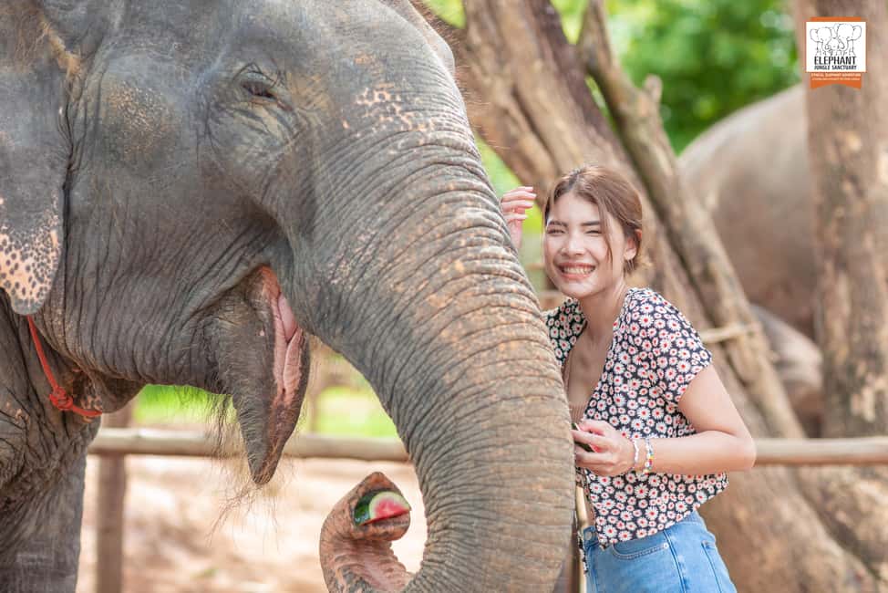 billede nr.4 af aktiviteten Phuket: Oplevelse af etisk fodring i Elephant Jungle Sanctuary i Kathu, Phuket, uploadet af udbyder