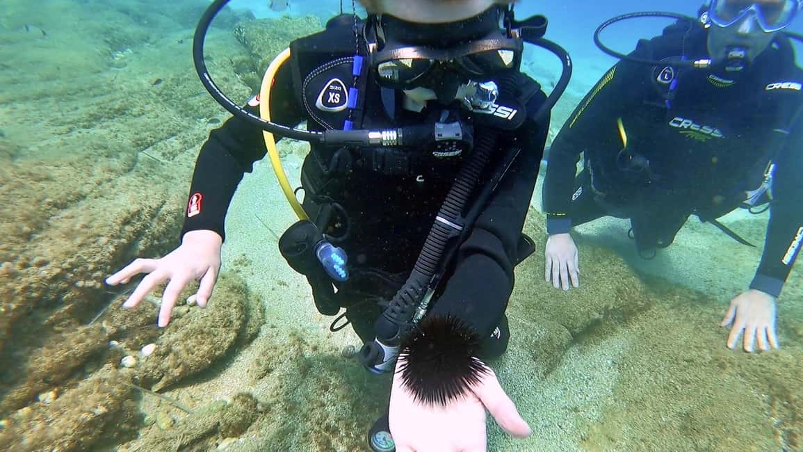 Immagine nº 7 di Heraklion: Lezione di immersione subacquea per principianti con istruttore PADI attività a Agia Pelagia, caricata dal fornitore