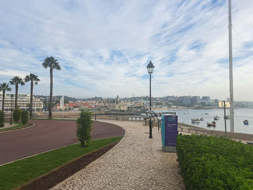 billede nr.59 af aktiviteten Lissabon: Sintra, Pena Palace, Quinta Regaleira, Cascais Tour i Colares, uploadet af udbyder