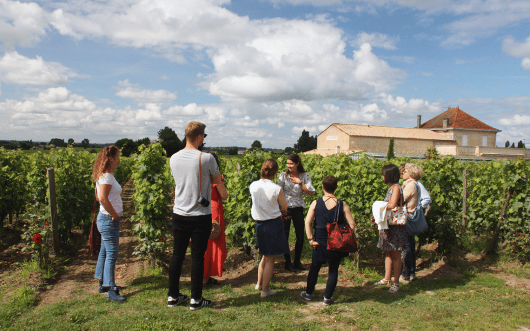 image n.4 of Médoc Morning Wine Tour - Winery & Tastings activity in Bordeaux, uploaded by supplier