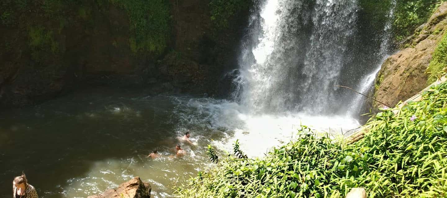 image n.12 of Purple Tea Farm Tour from Nairobi - Explore Gatura Greens activity in Thika, uploaded by supplier