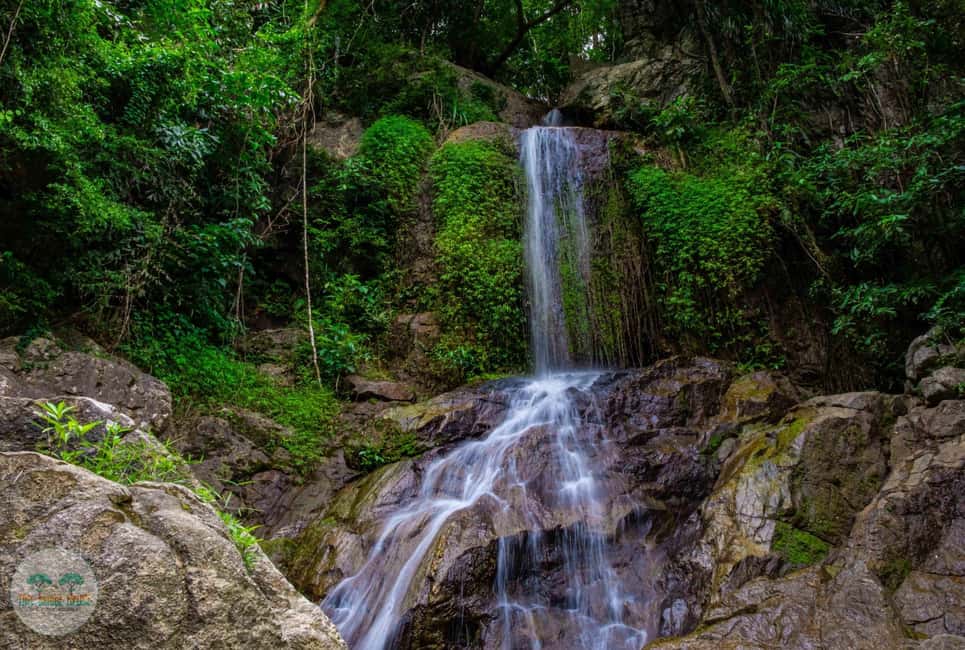 billede nr.4 af aktiviteten Fra Koh Samui: Tree Bridge Zipline og caféoplevelse i Thailandbugten, uploadet af udbyder