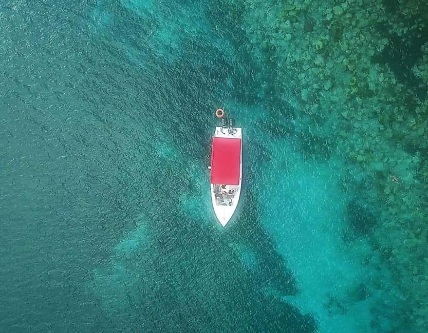 Image N°12 de Martinique : Découverte des tortues et des anses coralliennes activité à Les Anses-d’Arlet, publiée par le prestataire
