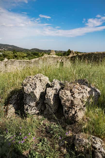 afbeelding n.10 van Corfu: Olijfolie ervaring - De Gouverneur's Olijfmolen activiteit in West-Griekenland, geüpload door aanbieder