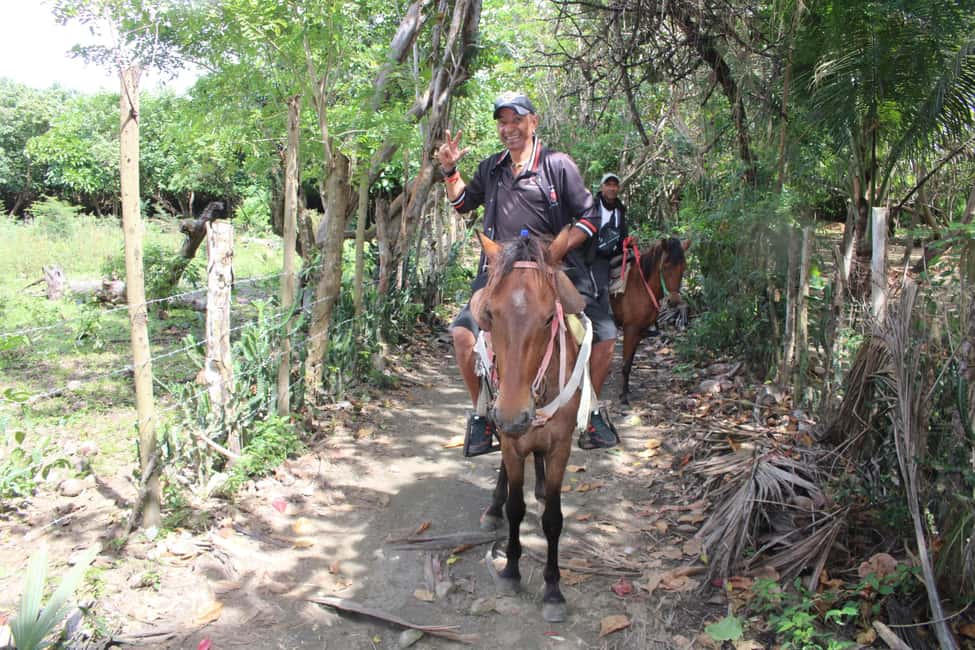 image n.9 of Beach horse back riding with countryside activity in Puerto Plata Province, uploaded by supplier