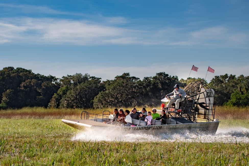 image n.11 of Kissimmee: Boggy Creek Airboat Ride with Optional Meal activity in Kissimmee, uploaded by supplier