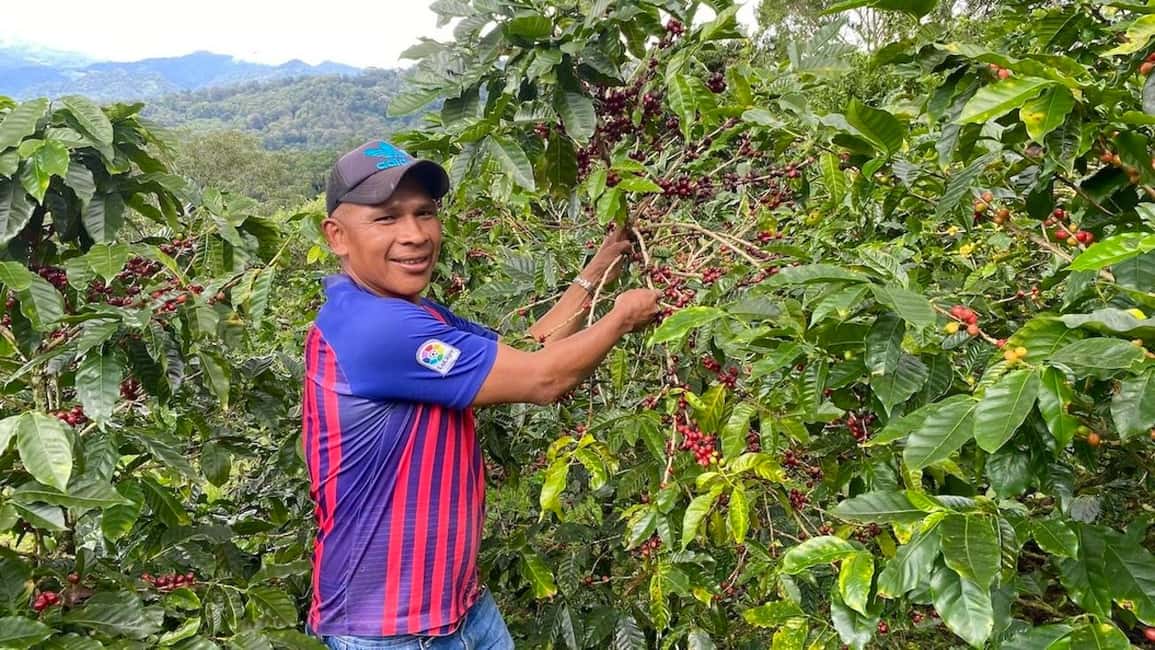 Bild Nr. 2 von Boquete, Panama: Specialty Coffee Tour Aktivität in Bajo Boquete, hochgeladen vom Anbieter