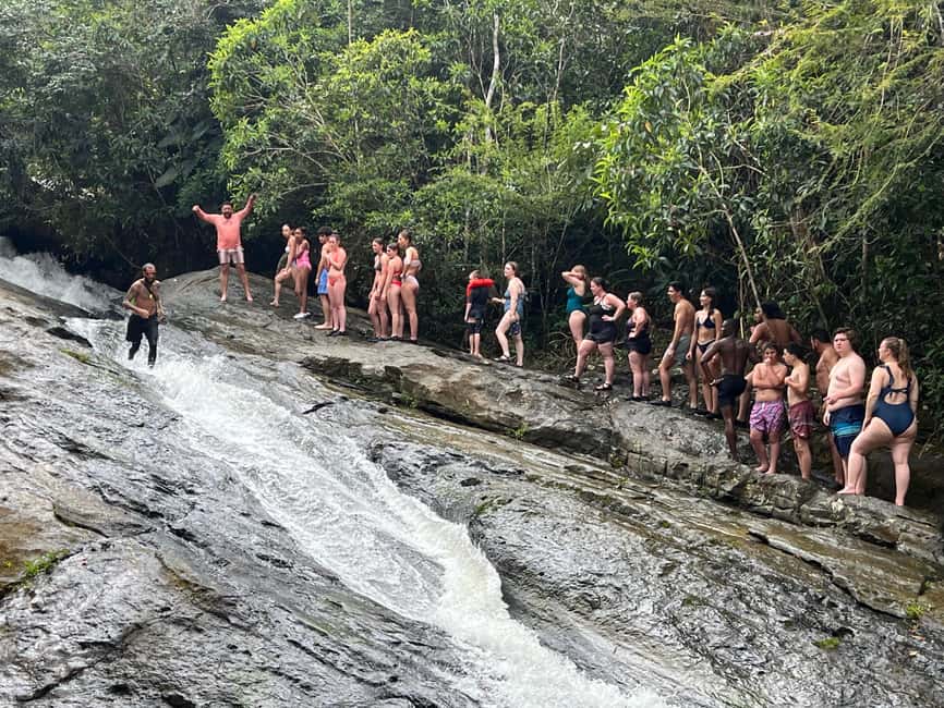 billede nr.15 af aktiviteten San Juan: El Yunque Rainforest Hike & Luquillo Beach i Luquillo, uploadet af udbyder