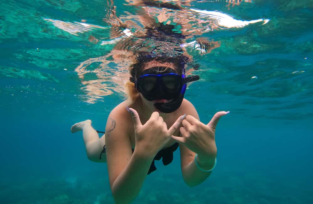image n.23 of Koh Tao: Private Longtail Snorkel Tour with Nang Yuan Visit activity in Ko Tao, uploaded by supplier