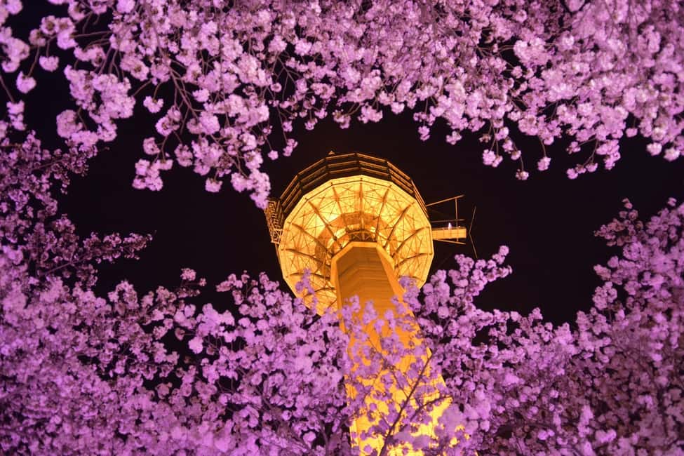 image n.5 of Daegu: Private Taxi Tour Car Charter activity in Daegu, uploaded by supplier