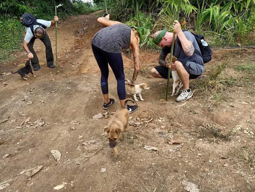 image n.40 of Chiang Rai Trek: 4 Hilltribes Villages & Waterfall Only Walk activity in Chiang Rai, uploaded by supplier