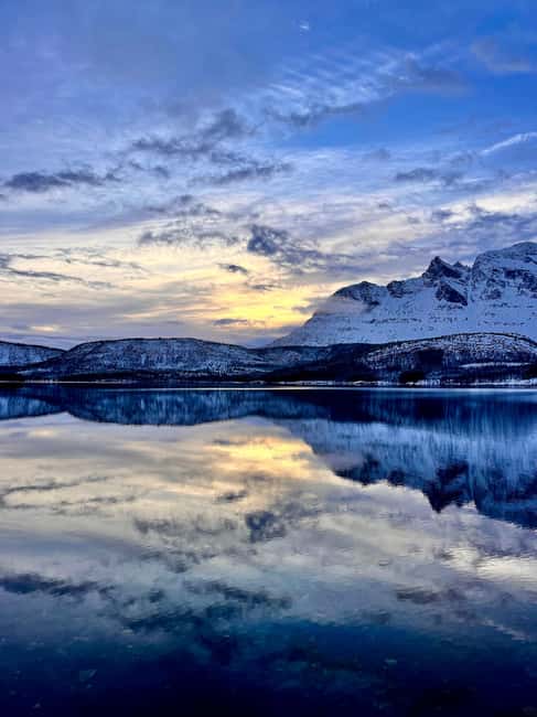 image n.7 of Narvik/Harstad:Day tour of Fjords with stop at Reindeer farm activity in Narvik, uploaded by supplier