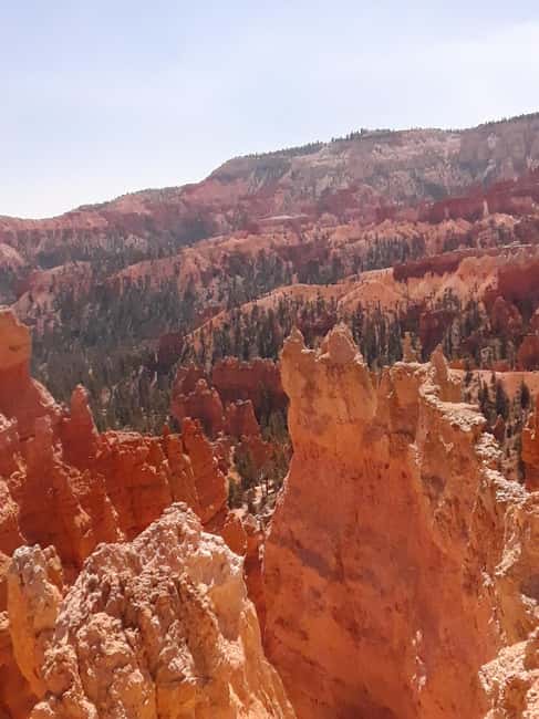 image n.1 of Small Group Tour Zion & Bryce Canyon National from Las Vegas activity in Utah, uploaded by supplier