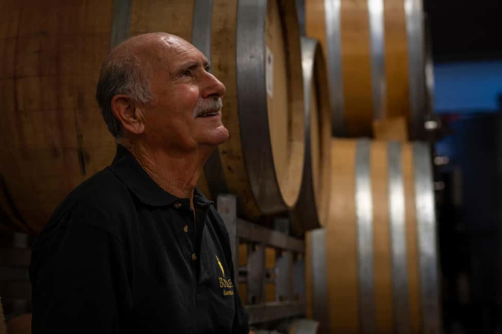 Immagine nº 6 di Montefalco: Tour della cantina e del vigneto e degustazione privata attività a Montefalco, caricata dal fornitore