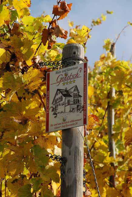 image n.8 of Lieser: covered wagon ride, the rolling wine tasting with picnic basket activity in Bernkastel-Kues, uploaded by supplier